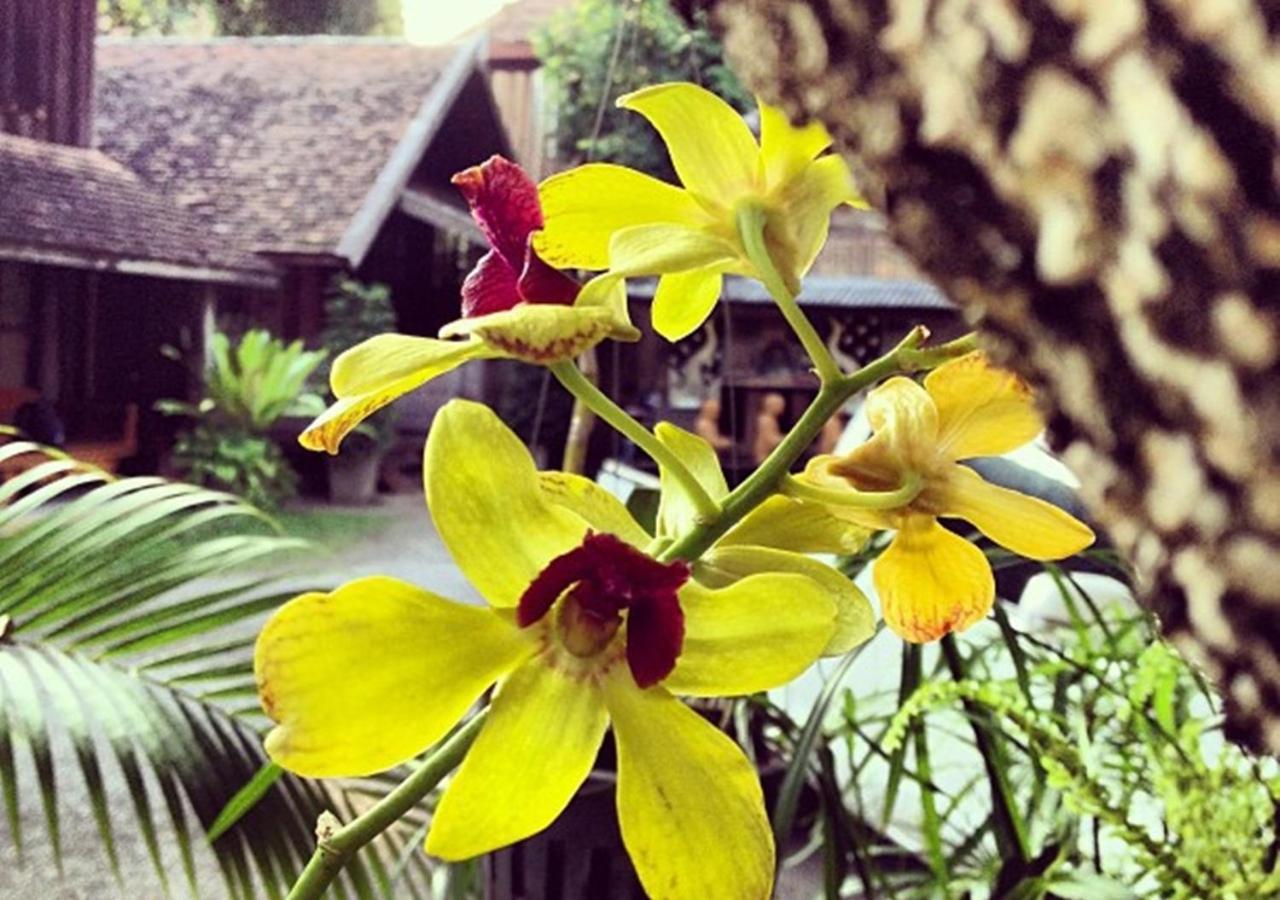 Tanita House Bed and Breakfast Chiang Mai Exteriör bild